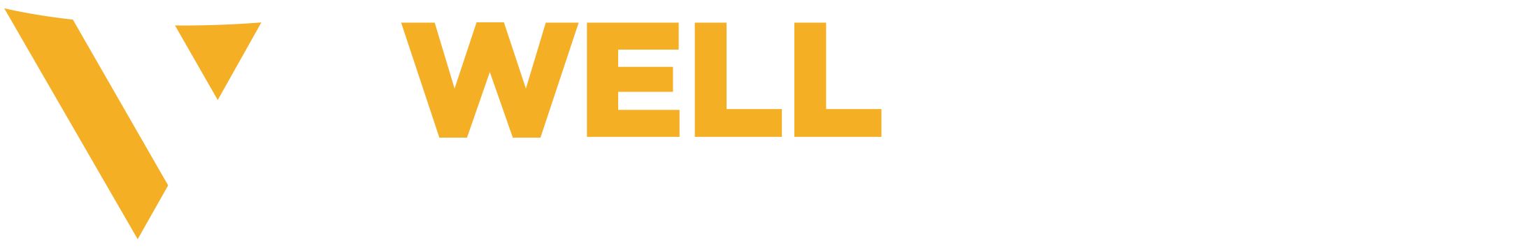 WellVersed Solutions